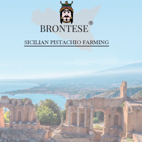 KREM PISTACJOWY 45% Linea Prima Scelta włoski BRONTESE z Sycyli 3kg KREM PISTACJOWY 45% Linea Prima Scelta włoski BRONTESE z Sycyli 3kg
