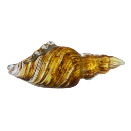 SZKLANA DEKORACJA Muszelka Piaskowa 11cm
