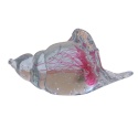 SZKLANA DEKORACJA Muszla + Meduza 19cm